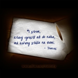 I strom, který vyrostl...                        