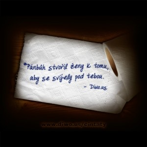 Pánbůh stvořil ženy k tomu...    