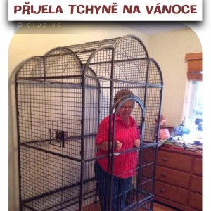 Aktuální fotofóry