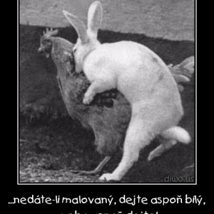 Velikonoce - Aspoň dejte!     