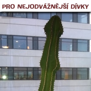 Pro nejodvážnější dívky