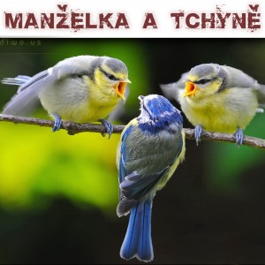 Manželka a tchyně 