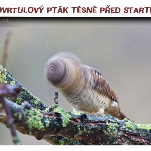 Turbopták