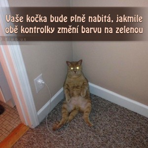 Zvířecí fotofóry