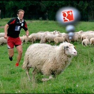 Facebook vs GooglePlus 2