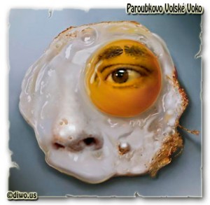 Paroubkovo volské voko