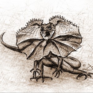 Literární ilustrace