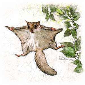Ostatní ilustrace