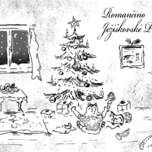 Romana Brožková           