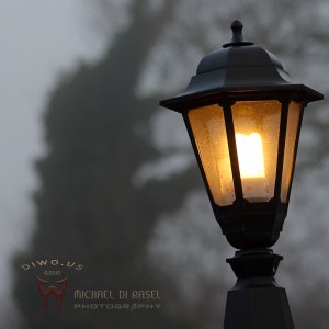 Lantern