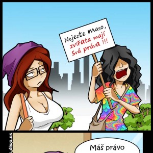 díl č. 11