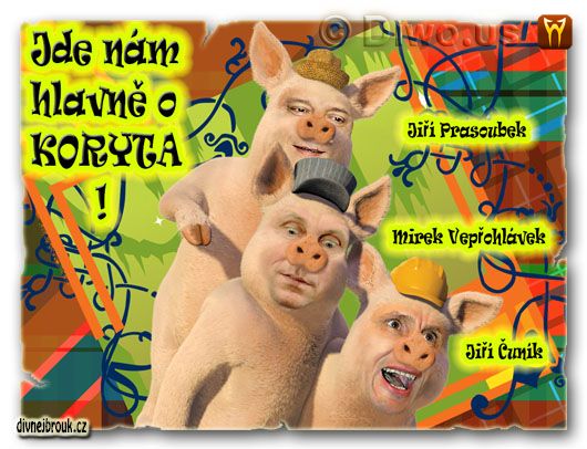 divnej brouk - Tři čuníci, 3 cunici, Jiří Jyrka Paroubek, Mirek Topol Topolánek, Jiří Čunek, pohádka, prasátka divnej brouk - Tři čuníci, 3 cunici, Jiří Jyrka Paroubek, Mirek Topol Topolánek, Jiří Čunek, pohádka, prasátka