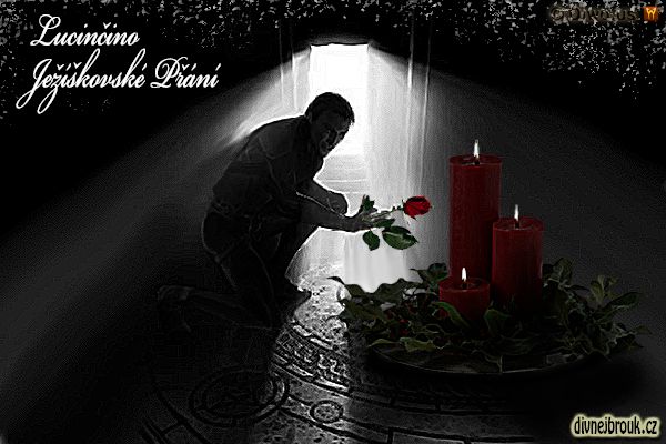 divnej brouk - kresba, vánoce, dekorace, adventní věnec, svíčky, cesmín, větvičky, tajemný přítel, růže, světlo dveře, tajemná komnata divnej brouk - kresba, vánoce, dekorace, adventní věnec, svíčky, cesmín, větvičky, tajemný přítel, růže, světlo dveře, tajemná komnata