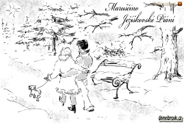 divnej brouk - kresba, zamilovaný pár, zimní krajina, zasnežený park, lavička, sníh, procházka, pejsek, stromy, kožich divnej brouk - kresba, zamilovaný pár, zimní krajina, zasnežený park, lavička, sníh, procházka, pejsek, stromy, kožich
