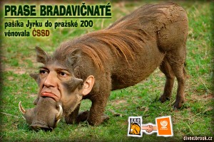 Jiří Paroubek, prase bradavičnaté, pražská zoologická zahrada, ZOO Praha, ČSSD, pašík, vtip, humor, Jyrka