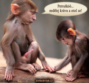 Diwous - Paroubkovi, Jiří Paroubek, Petra Paroubková, opice, penis, sex, erekce, chtíč