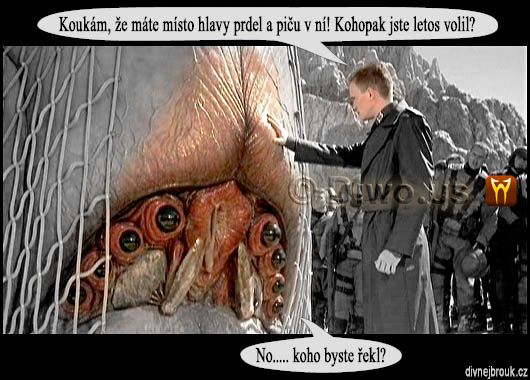 Diwous - Divnej Brouk, Vypatlaný volič, dutá hlava, hovno v hlavě, humor, piča, prázdná hlava, prdel, vtip, volby