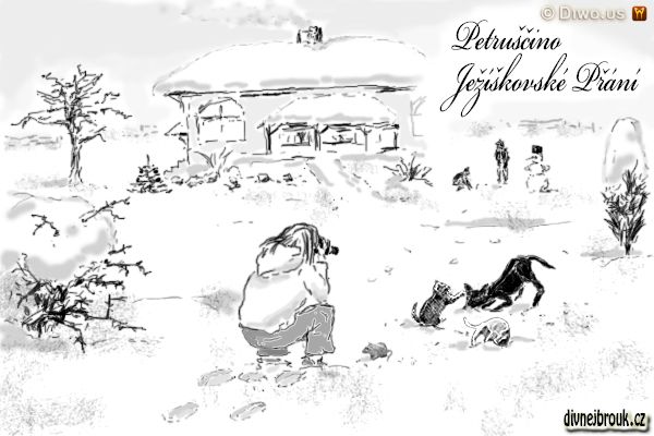 divnej brouk - kresba, zimní zasněžená zahrada, rodinný domek, sněhulák, domácí zvířátka, kotě, kočička, pes, pejsek, foťák, fotoaparát divnej brouk - kresba, zimní zasněžená zahrada, rodinný domek, sněhulák, domácí zvířátka, kotě, kočička, pes, pejsek, foťák, fotoaparát