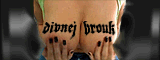 divnej_brouk_tattoo.gif divnej_brouk_tattoo.gif