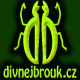 divnejbrouk_avatar.jpg
