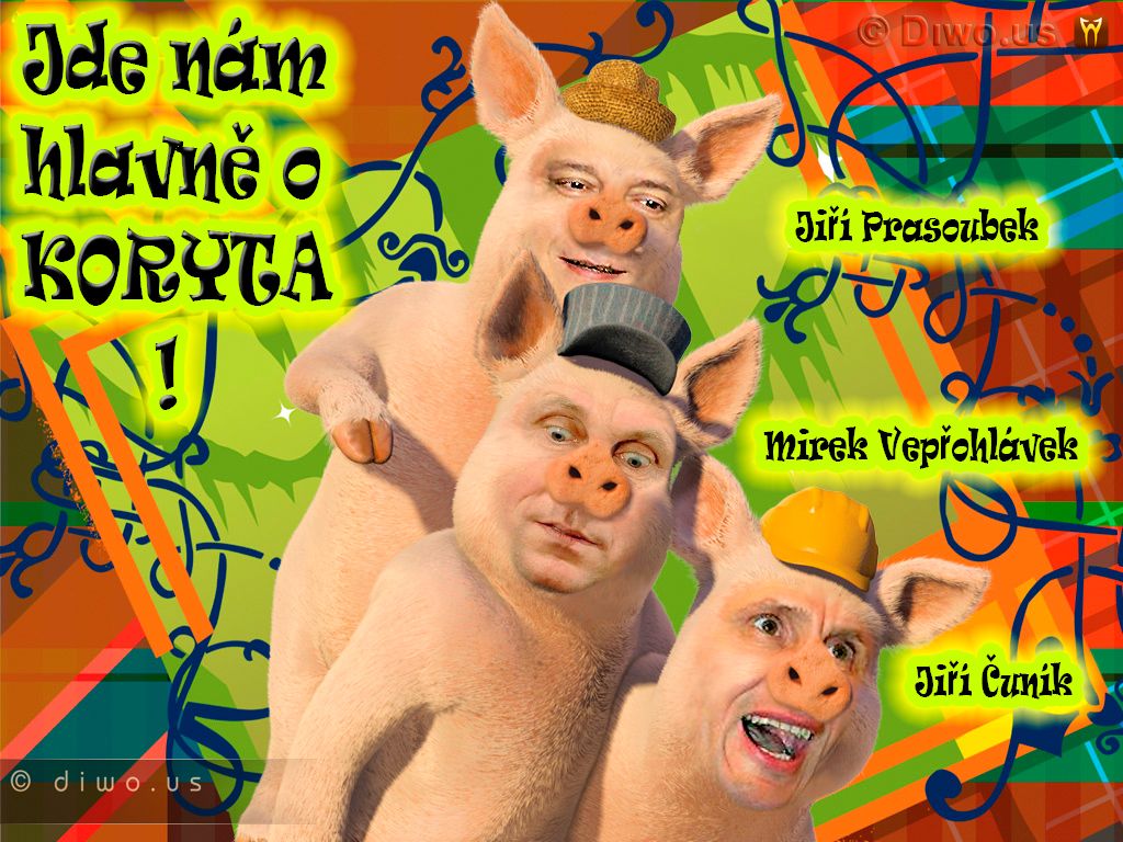 Diwous - Tři čuníci, prasátka, 3, Mirek Topolánek, Jiří Paroubek, Jiří Čunek, koryta, vtip, humor