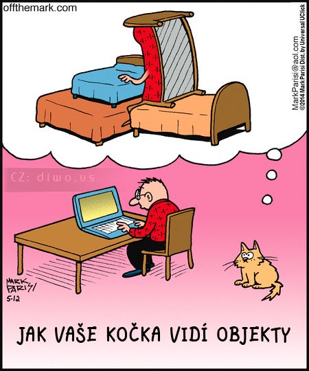Diwous - Jak vidí kočka, ležící, spící, postel, vtip, humor