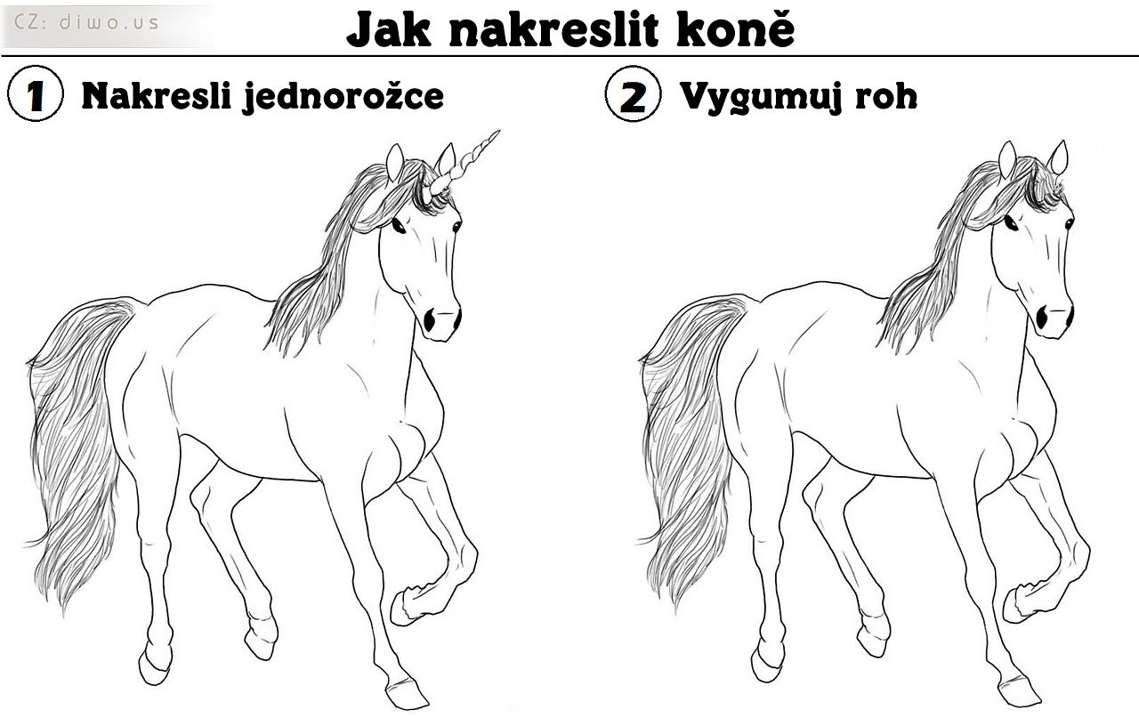 Diwous - Jak nakreslit koně, jednorožec, kůň, roh, vtip, humor