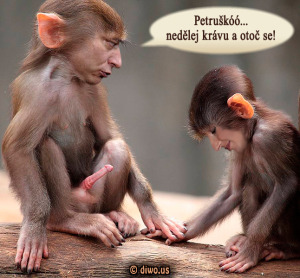 Diwous - Paroubkovi, Jiří Paroubek, Petra Paroubková, opice, penis, sex, erekce, chtíč