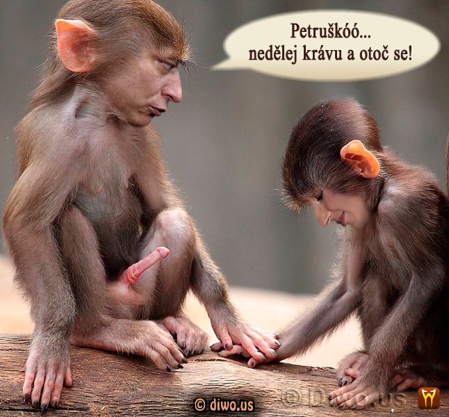 Diwous - Paroubkovi, Jiří Paroubek, Petra Paroubková, opice, penis, sex, erekce, chtíč