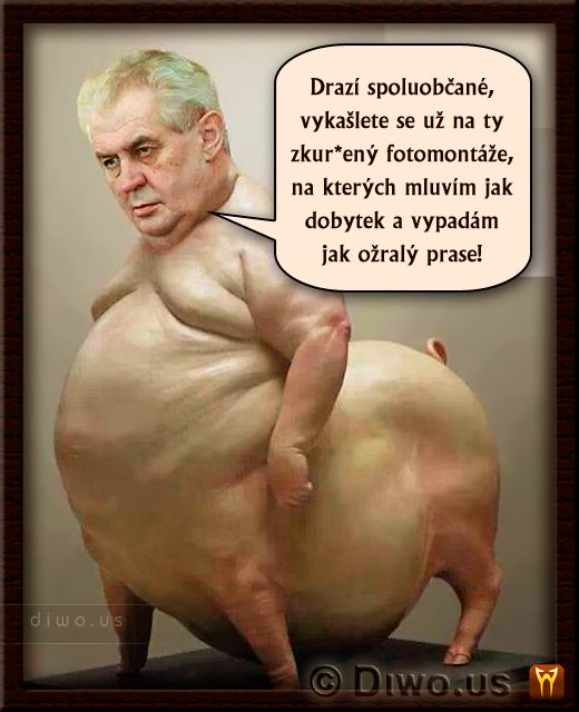Diwous - PrasoZeman Miloš Zeman vepř, humor, kunda, prase, prezident, vtip