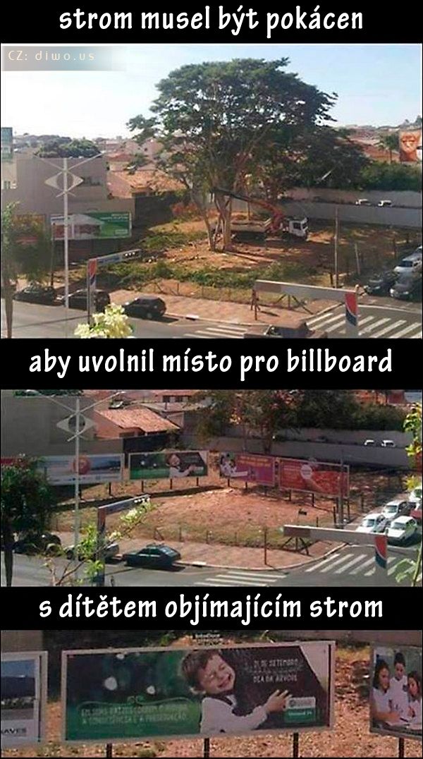 Diwous - Absurdistán, pokácený strom, billboard, kácení, vtip, černý humor