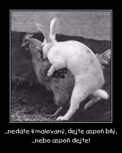 Diwous - Dejte vejce malovaný... nebo aspoň dejte! humor, koleda, králík, slepice, Velikonoce, vtip
