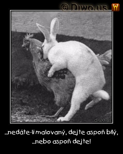 Diwous - Dejte vejce malovaný... nebo aspoň dejte! humor, koleda, králík, slepice, Velikonoce, vtip