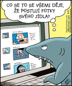 Diwous - Žraločí Facebook, žralok, fotky jídla, fotografie, pokrm, večeře, oběd, mánie, zveřejňování, stupidita, focení, jídlo, veřejně, restaurace, humor, vtip