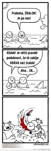 Diwous - pravděpodobnost, kráva, žralok, statistika, absurdita, absurdní humor, vtip, kameňák, moře, zabití, smrt, nebezpečí