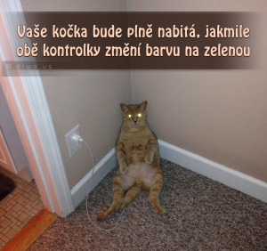Diwous - Jak nabít Apple kočku iCat, kočka, nabíječka
