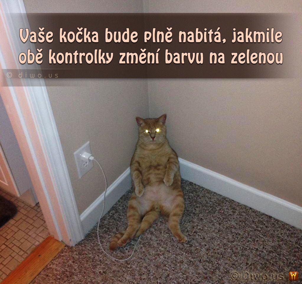 Diwous - Jak nabít Apple kočku iCat, kočka, nabíječka
