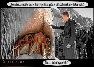 Diwous - Vypatlaný volič, dutá hlava, hovno v hlavě, humor, piča, prázdná hlava, prdel, vtip, volby