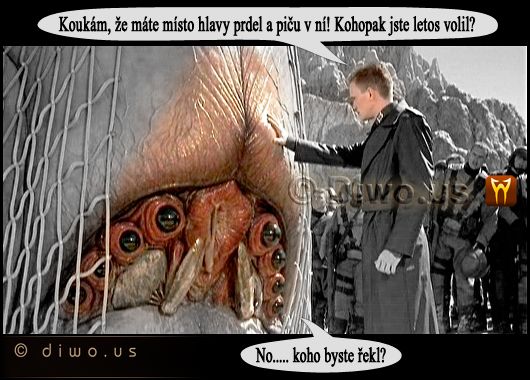 Diwous - Vypatlaný volič, dutá hlava, hovno v hlavě, humor, piča, prázdná hlava, prdel, vtip, volby