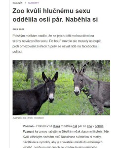Diwous - Facebook, hlasitá soulož, katolicismus, katolická morálka, osli, polské matky, Poznaň, ZOO