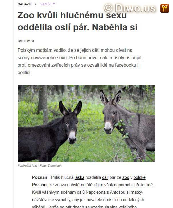Diwous - Facebook, hlasitá soulož, katolicismus, katolická morálka, osli, polské matky, Poznaň, ZOO