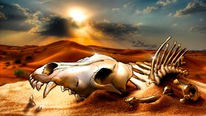 Diwous - Steppe Wolf bones, #diwoselfie, photoillustration, digital illusionist, Art, drawing, cartoon, comics, collage, style, unique technique, Namibia, Kalahari desert, relics, jackal, coyote, skull, sunset, sand, západ slunce, lebka, kosti, ostatky, šakal, kojot, stepní vlk, poušť, písek