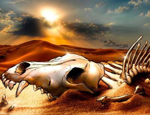 Steppe Wolf bones – Namibia, photoillustration