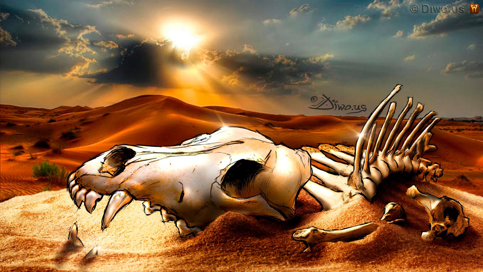 Diwous - Steppe Wolf bones, #diwoselfie, photoillustration, digital illusionist, Art, drawing, cartoon, comics, collage, style, unique technique, Namibia, Kalahari desert, relics, jackal, coyote, skull, sunset, sand, západ slunce, lebka, kosti, ostatky, šakal, kojot, stepní vlk, poušť, písek