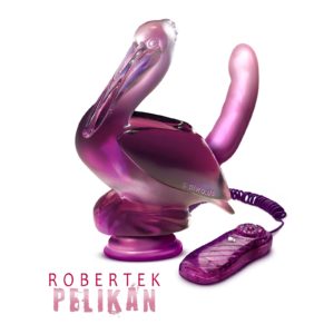 Diwous, Robert Pelikán, advokát, ministr spravedlnosti, politik, v demisi, hnutí ANO, Andrej Babiš, 2018, dildo, robertek, dvojitý vibrátor, anílní, umělecký, ovladač, masážní, přísavka, vtip, fórek, fotokoláž, fotomontáž