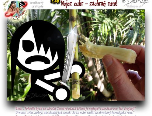 s Diwousem a Emou okolo světa – díl 26 – Nejez cukr – zachraň rum!